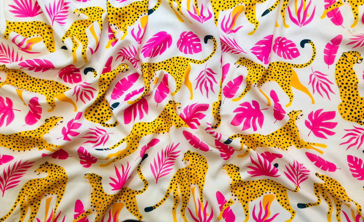 PINK YELLOW WILDLIFE