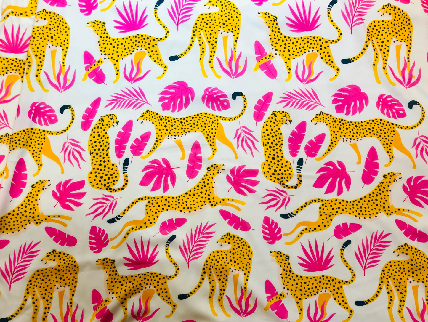 PINK YELLOW WILDLIFE